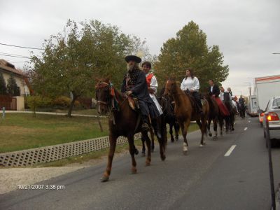 2007. Szüreti mulatság 1271.