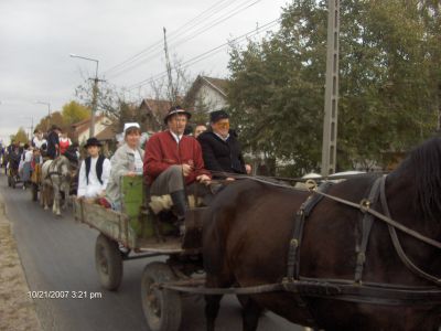 2007. Szüreti mulatság 1273.