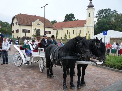 2010. Szüreti mulatság 1024.