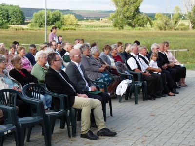 2015. Augusztus 20. Vácrátót 193.