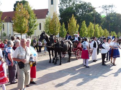 2015. Szüreti mulatság 22.