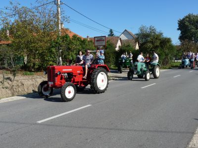 Szüreti mulatság, 2014. 244.