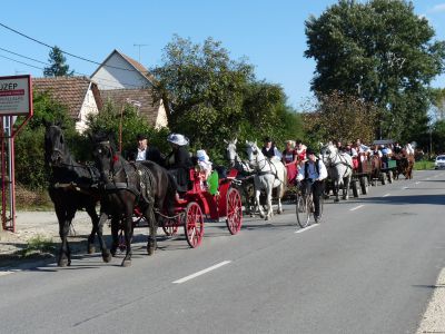 Szüreti mulatság, 2014. 246.