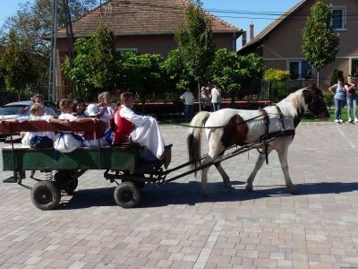 Szüreti mulatság, 2014. 263.