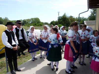 2017. Szüreti 2439.