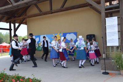 2017. Szüreti 2443.