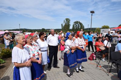 2017. Szüreti 2446.